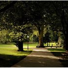 Park von Schloss Biebrich/Wiesbaden (II)