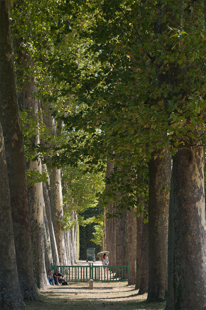 Park von Versailles