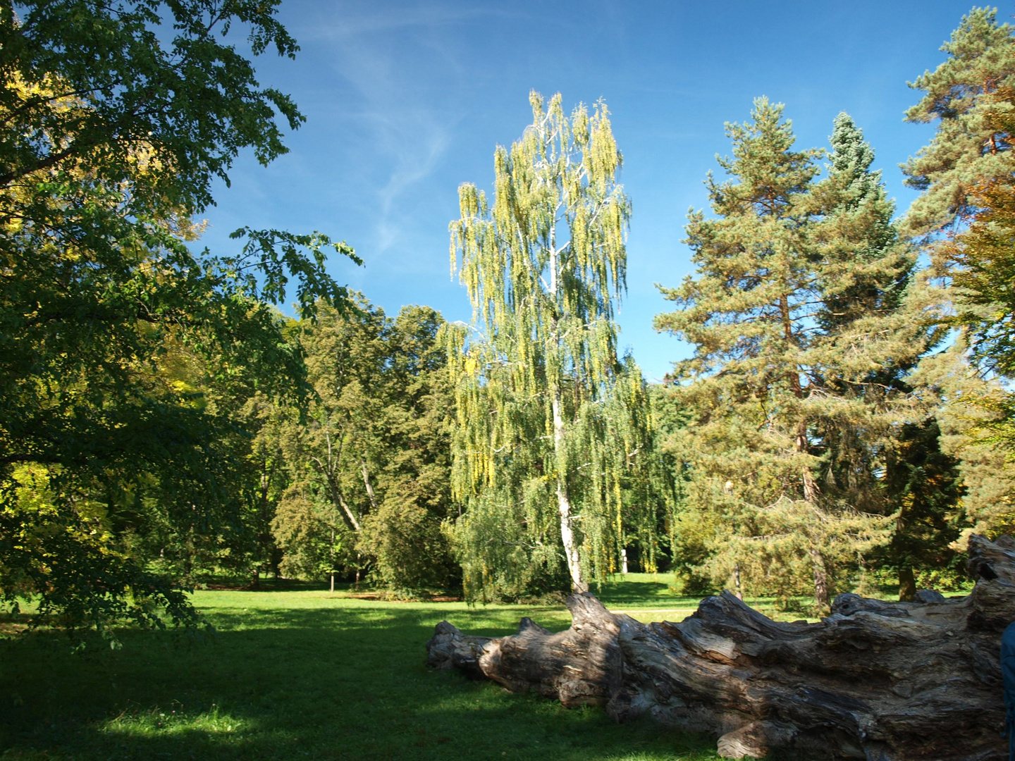 Park -  Vrchlabi