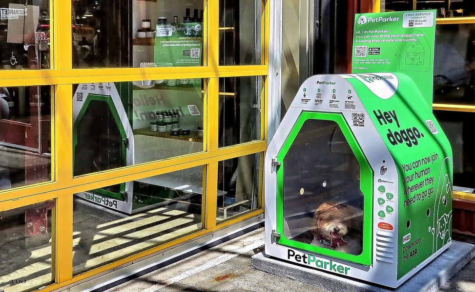 Park your Dog