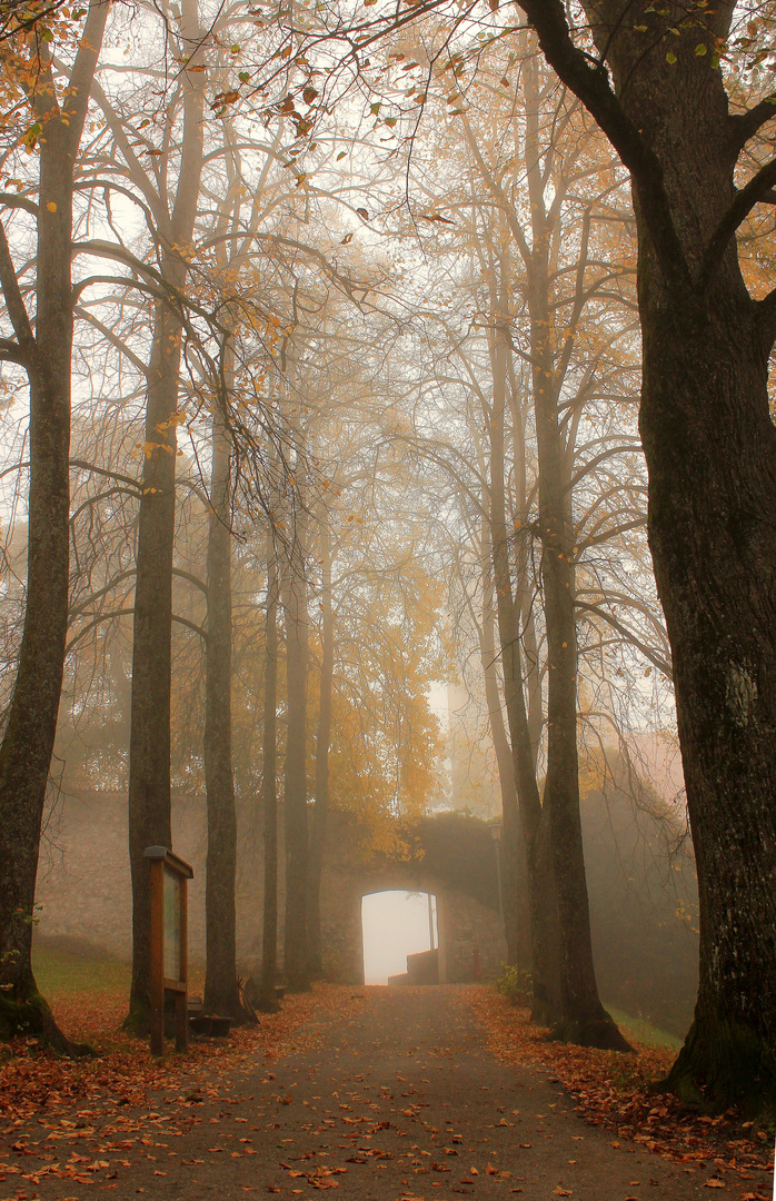 Park zum Hohen Schloß...