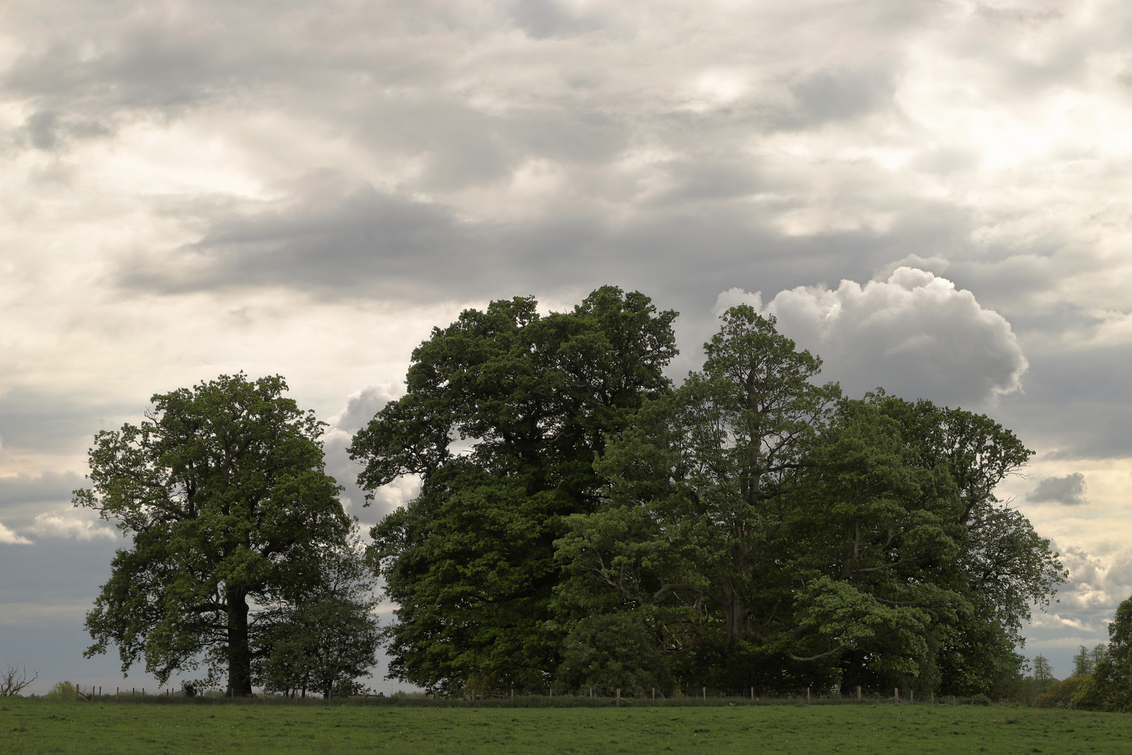 Parkähnliche Landschaft bei Sheffield Park (2019_05_02_EOS 6D Mark II_2024b_ji)