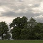 Parkähnliche Landschaft bei Sheffield Park (2019_05_02_EOS 6D Mark II_2024b_ji)