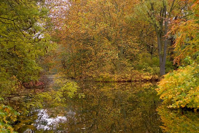 Parkanlage im Tiergarten, Berlin