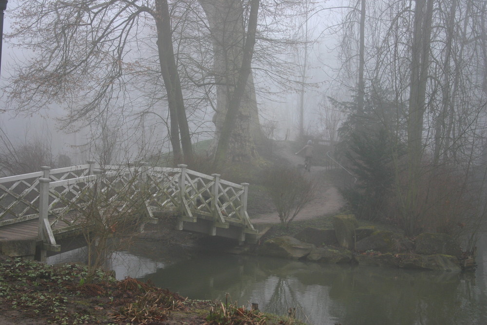 Parkansicht im Nebel