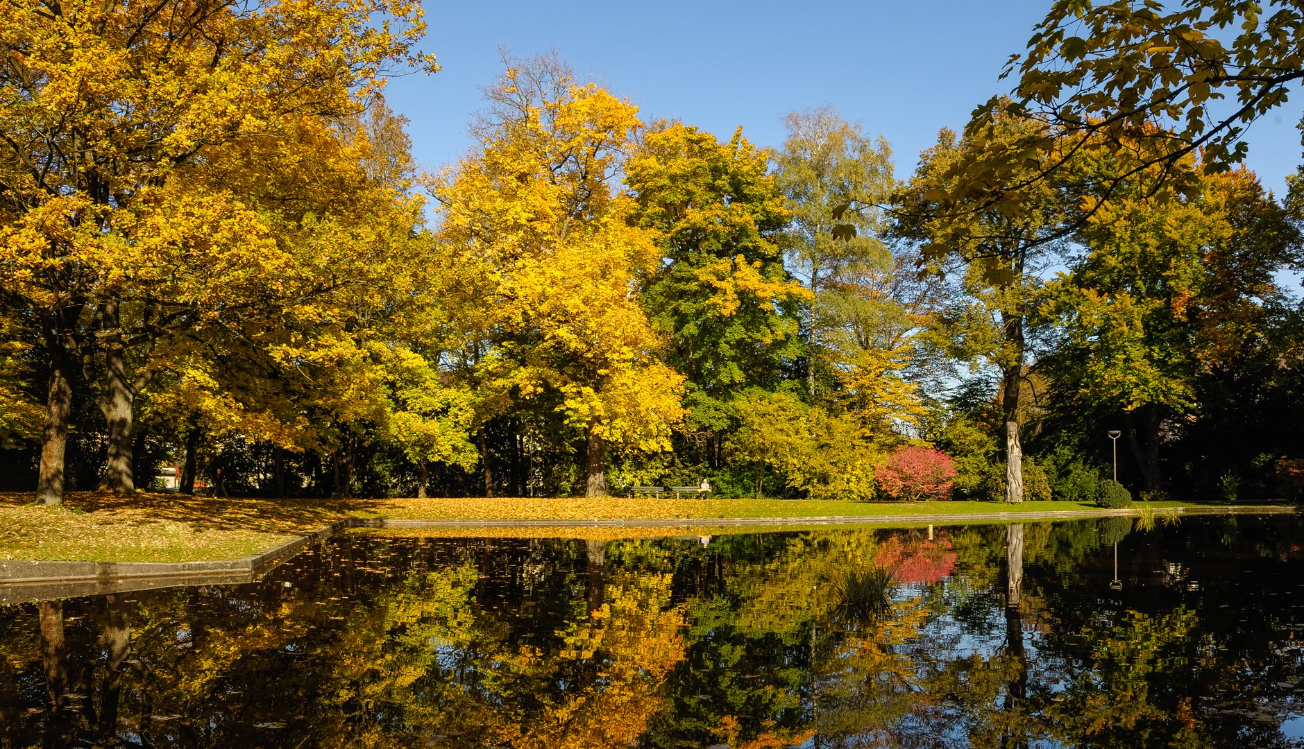 Parkansicht und Spiegelung