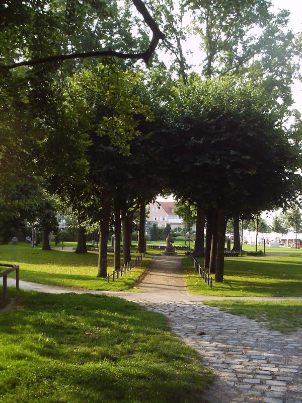 Parkausschnitt im Morgenlicht