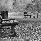 Parkbänke im Herbst