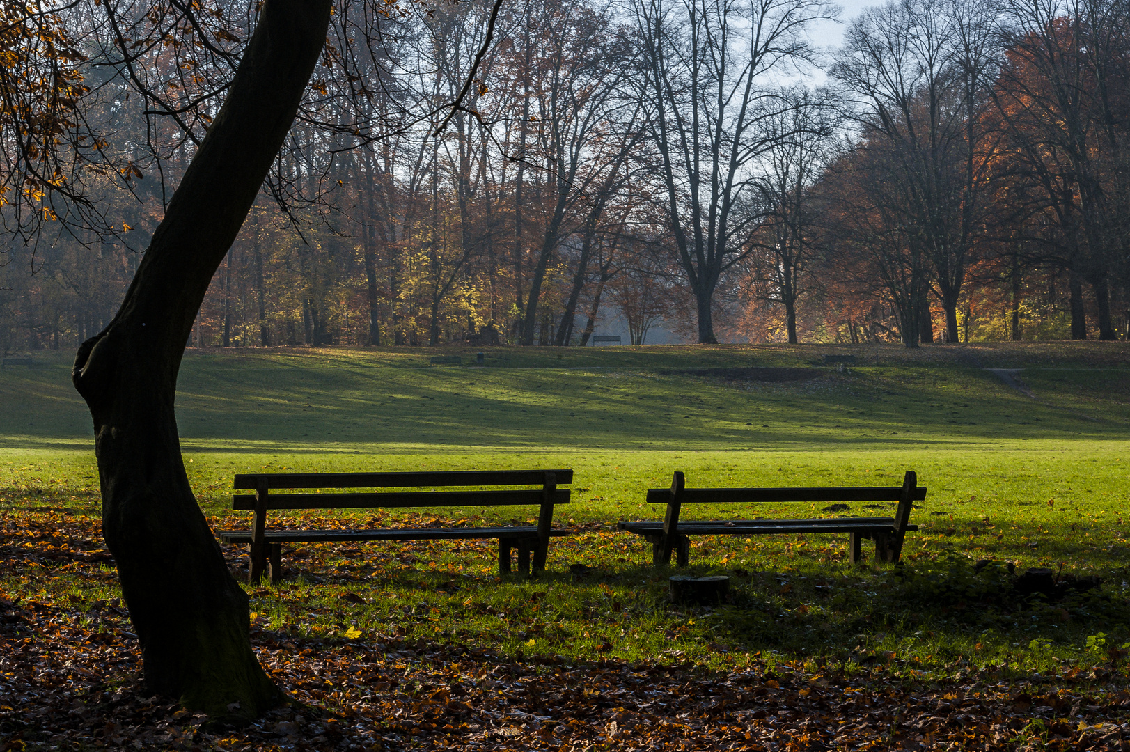 Parkbänke mit Aussicht…