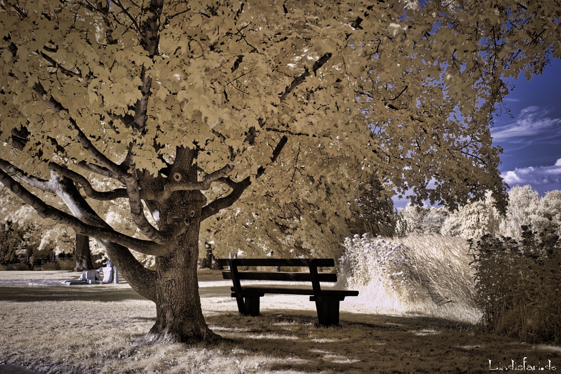 Parkbank - Britzer Garten