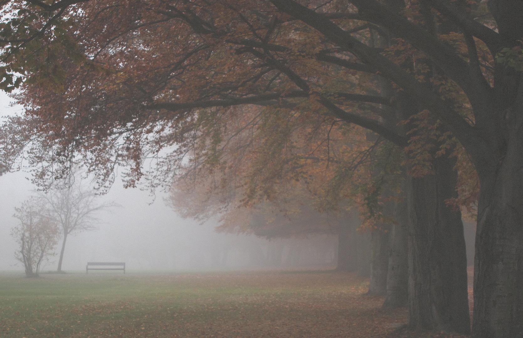 Parkbank im Herbst