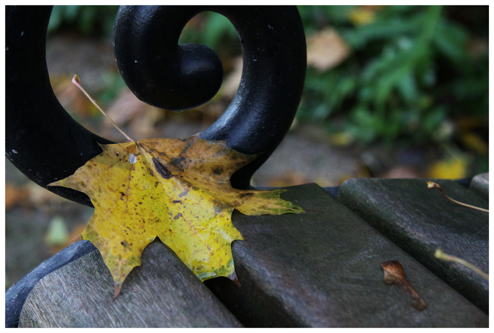 Parkbank im Herbst