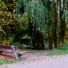 Parkbank im Herbst