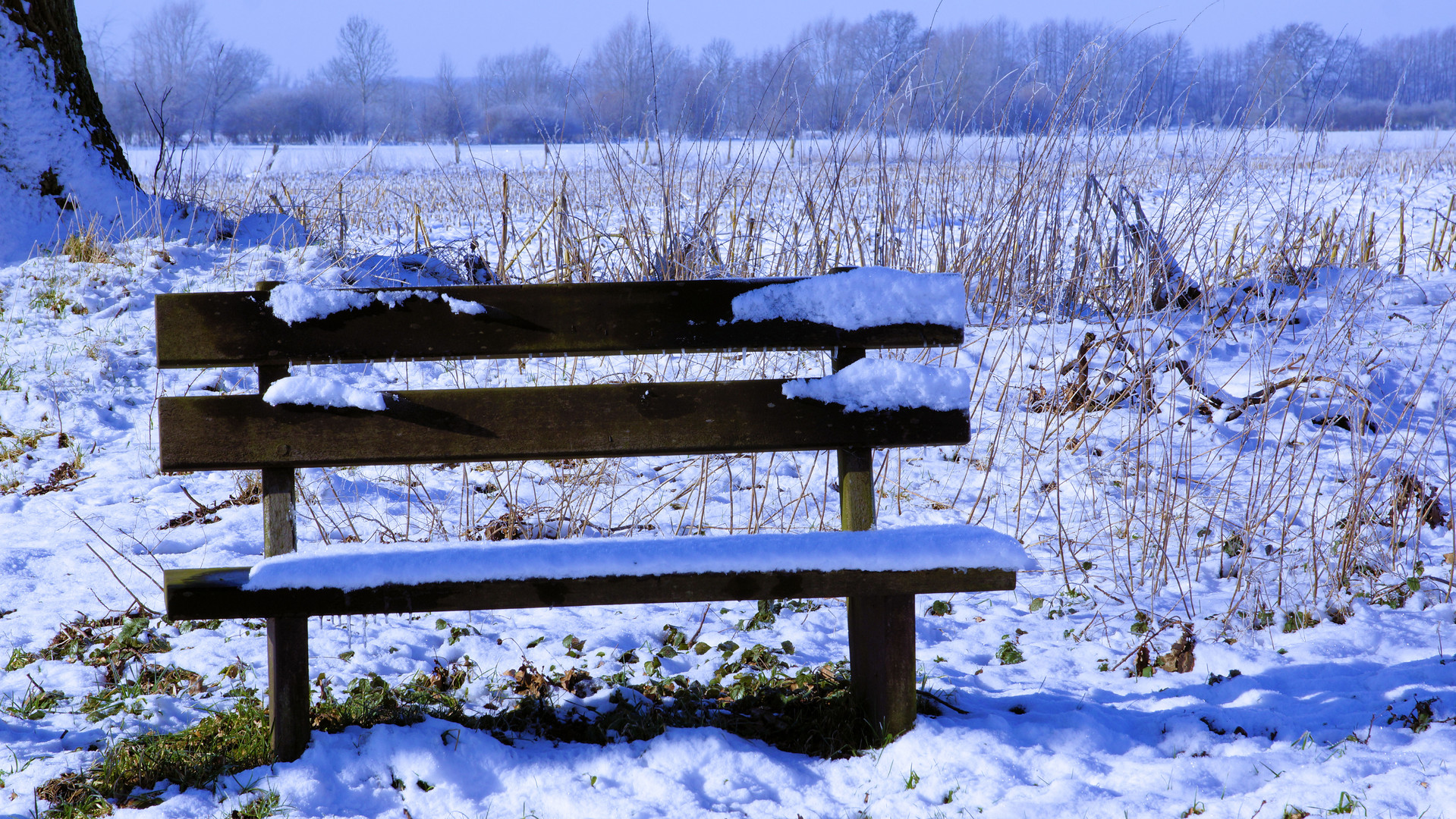 Parkbank im Schnee