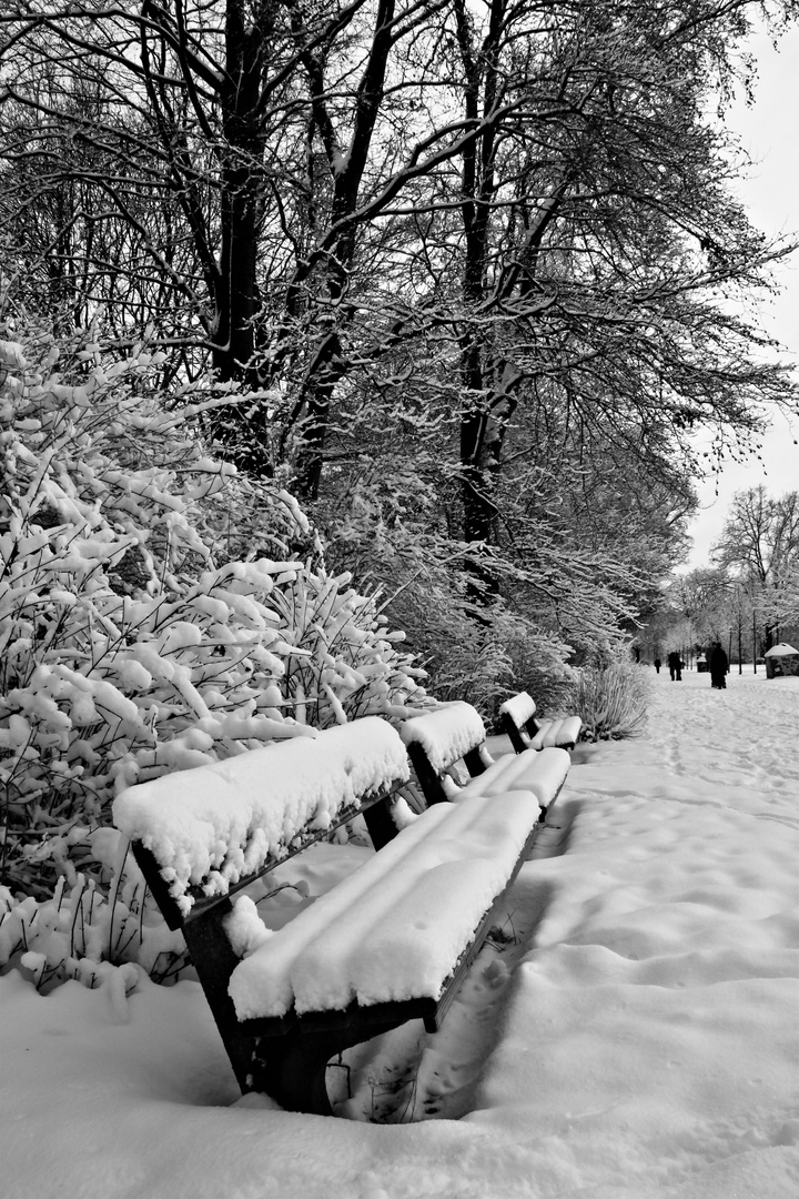 Parkbank im Schnee (s/w)