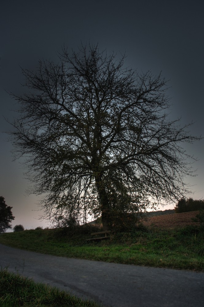 parkbank in den abendstunden