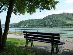 Parkbank mit Rheinblick