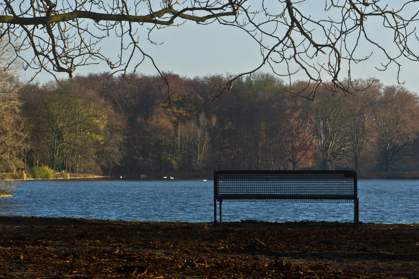 Parkbank mit Seeblick #2