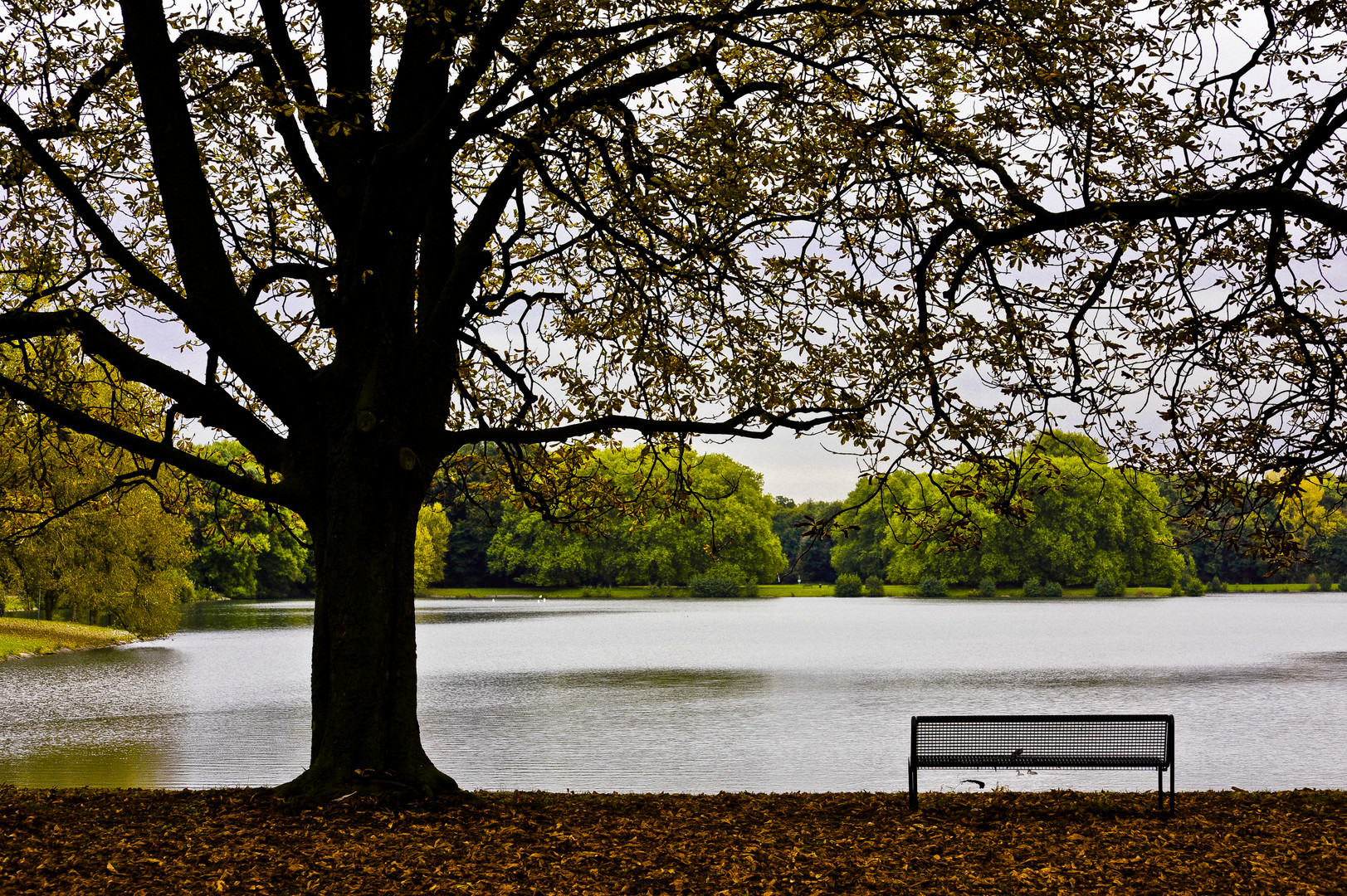 Parkbank mit Seeblick