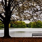 Parkbank mit Seeblick