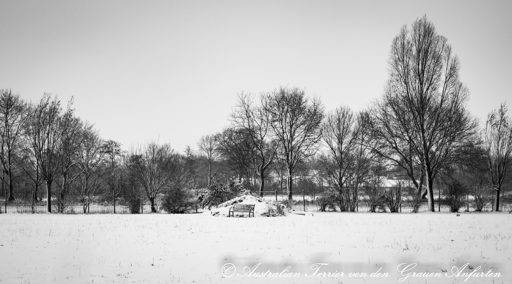 Parkbank - verlassen