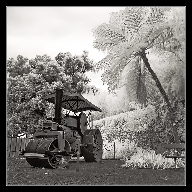 parked in the park