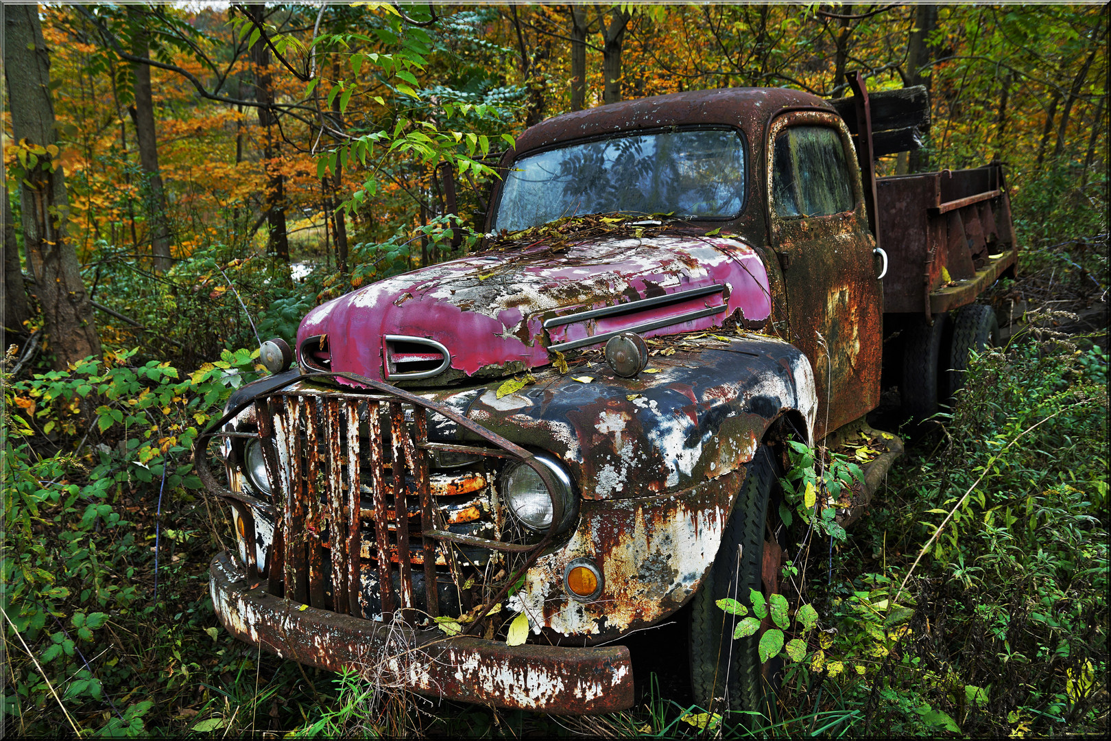 parked - Sussex County (State New York )