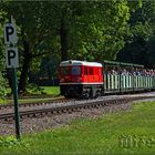 Parkeisenbahn