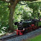 Parkeisenbahn am Auensee Leipzig