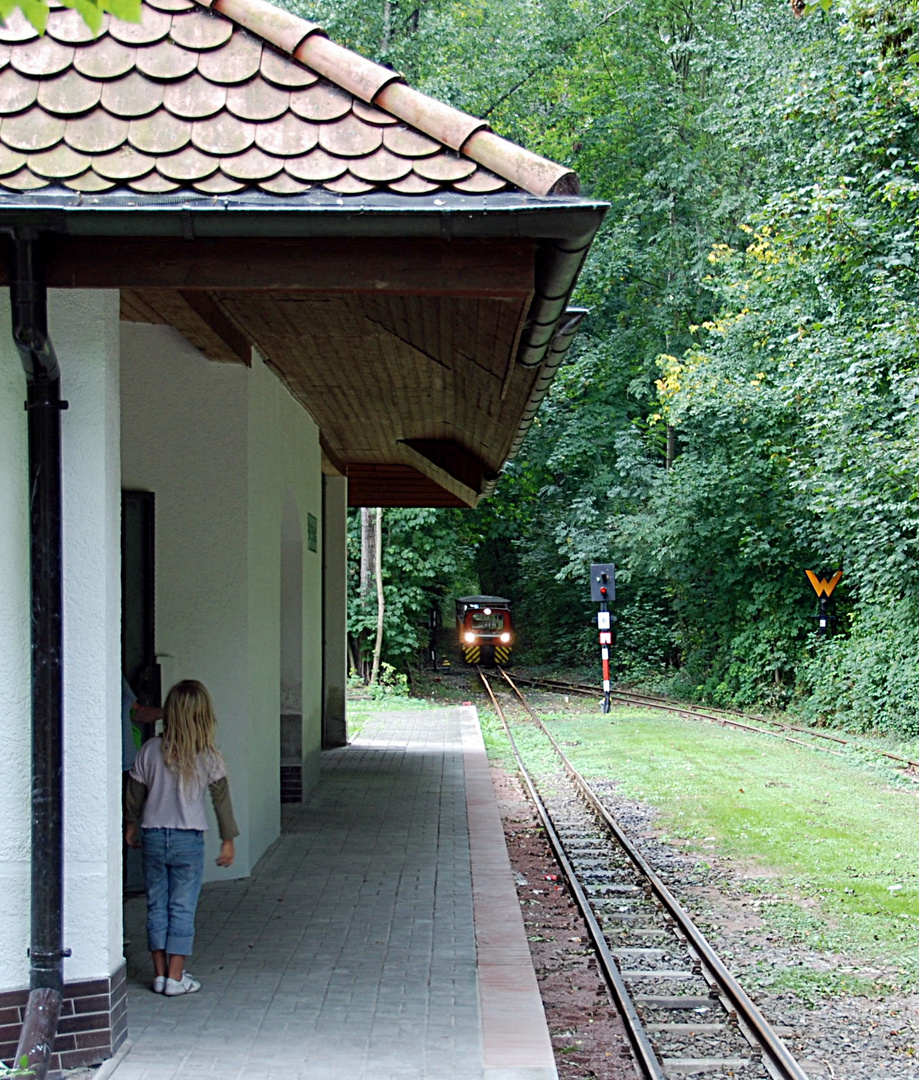 Parkeisenbahn Bernburg Einfahrt zur Endhaltestelle