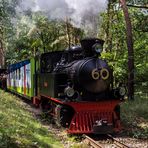 PARKEISENBAHN FEIERTE 60. GEBURTSTAG