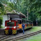 Parkeisenbahn im Bahnhof