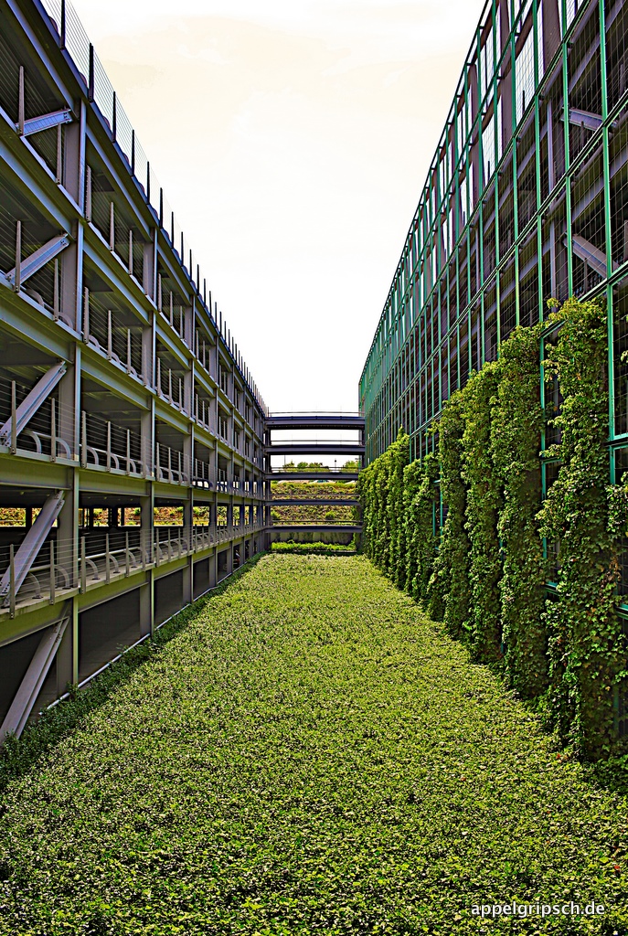 Parken auf Zeit