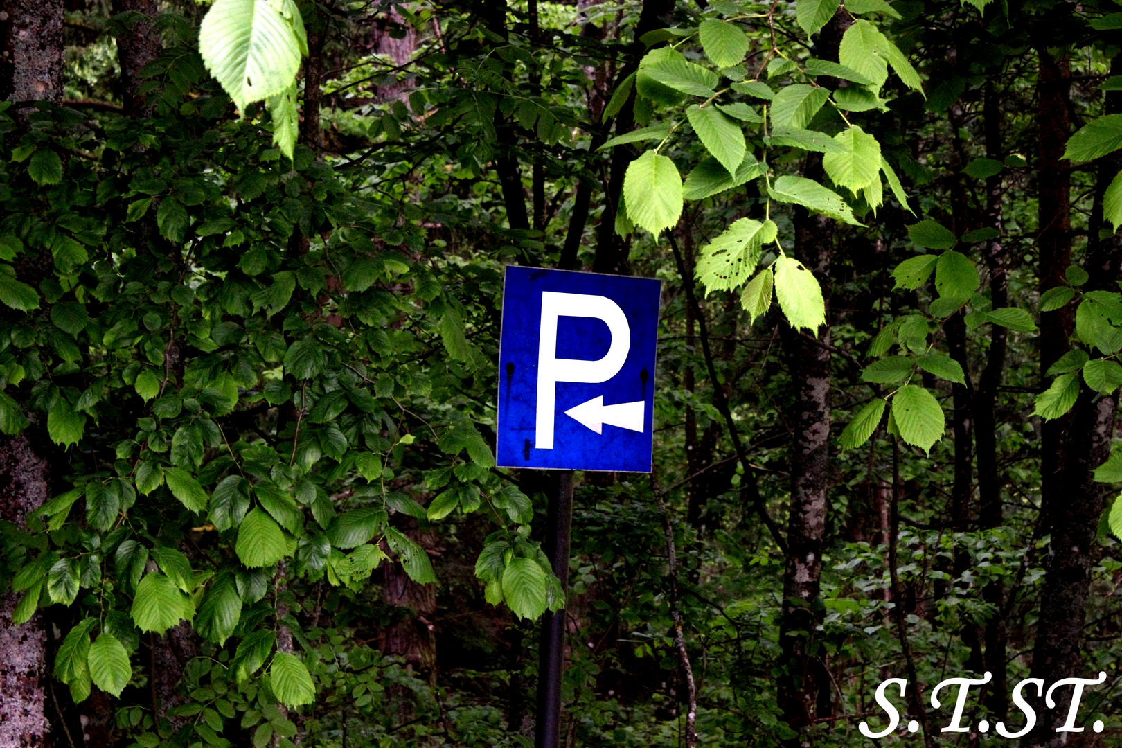 Parken