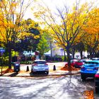 Parken im Herbst