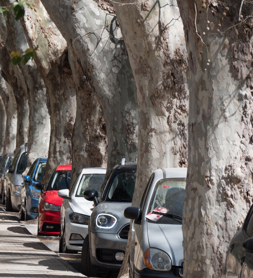 Parken in Malaga