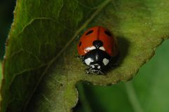 Parken mit eingeschaltetem Abblendlicht