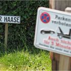 Parken: NUR HAASE