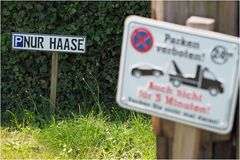 Parken: NUR HAASE