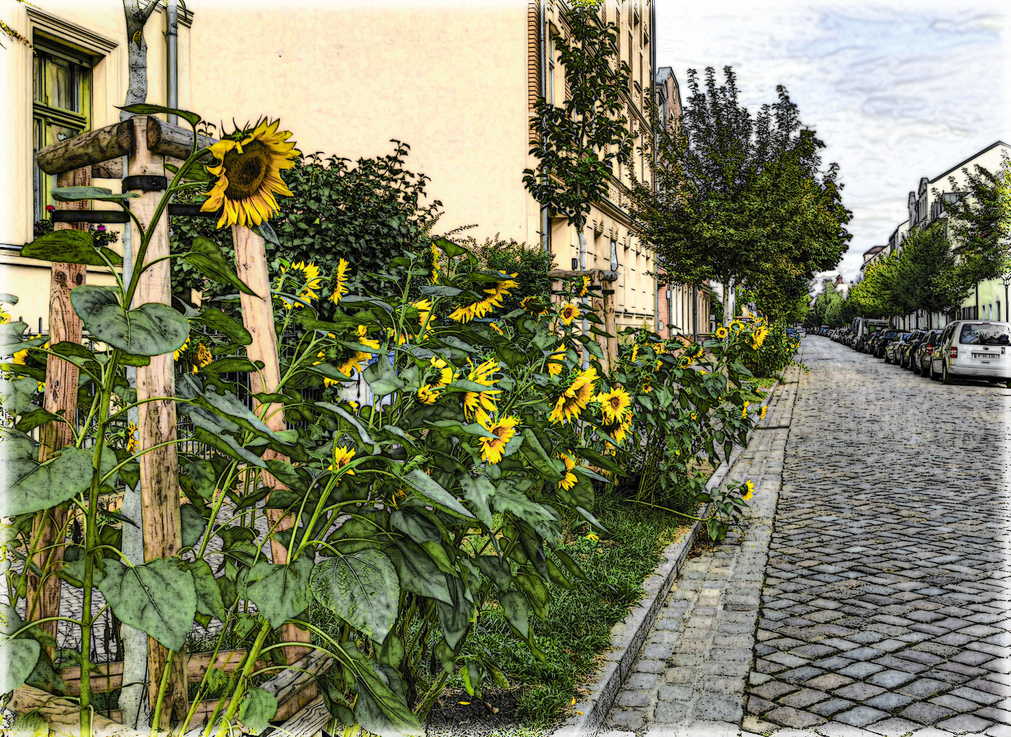 Parken unerwünscht