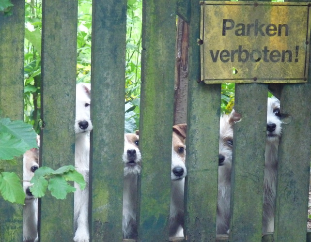 Parken verboten!