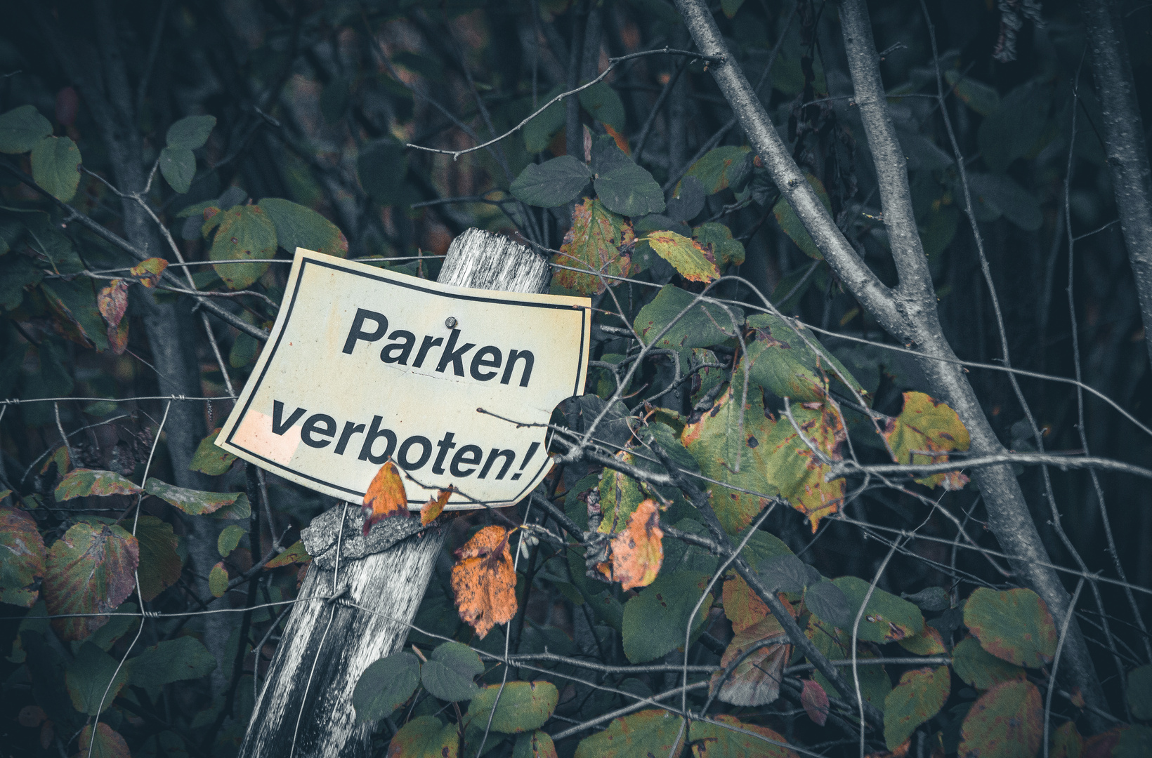 Parken verboten