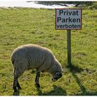 Parken verboten!