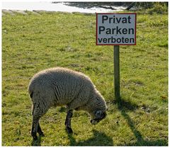 Parken verboten!