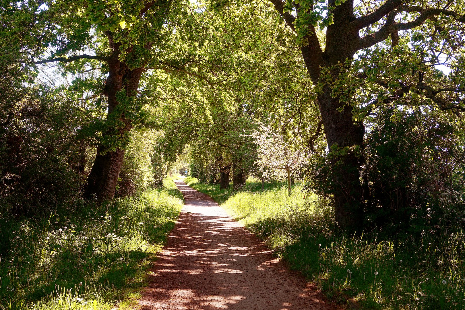 Parkentiner Landweg 