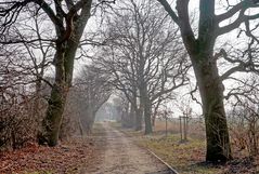 Parkentiner Landweg