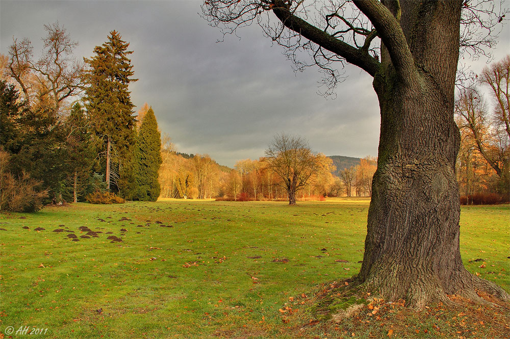 Parkfoto mit Restsonne