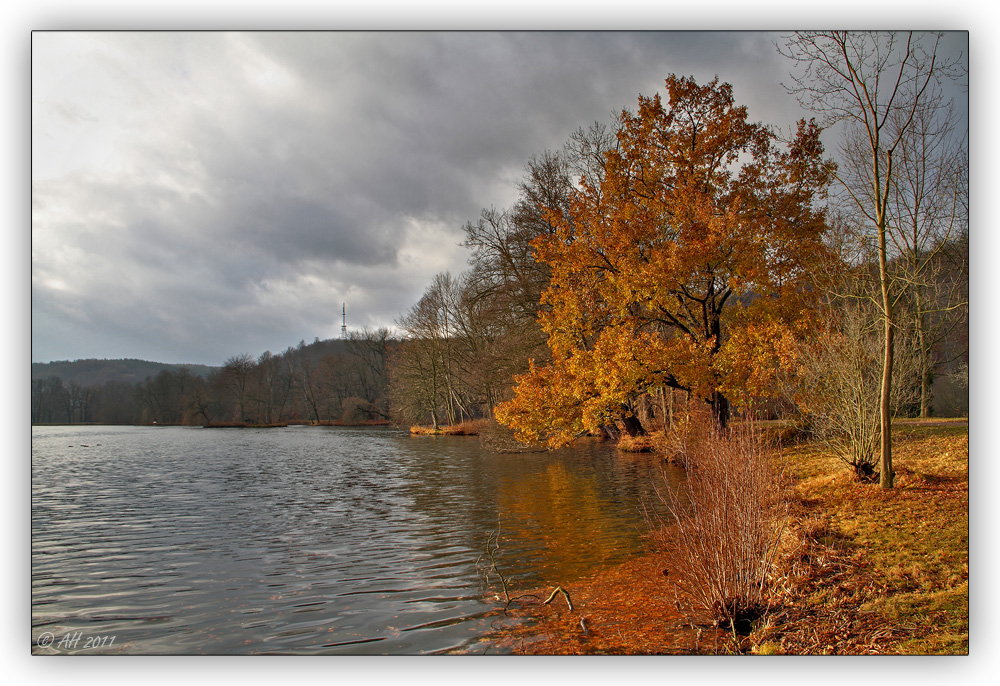 Parkfoto mit Seeblick