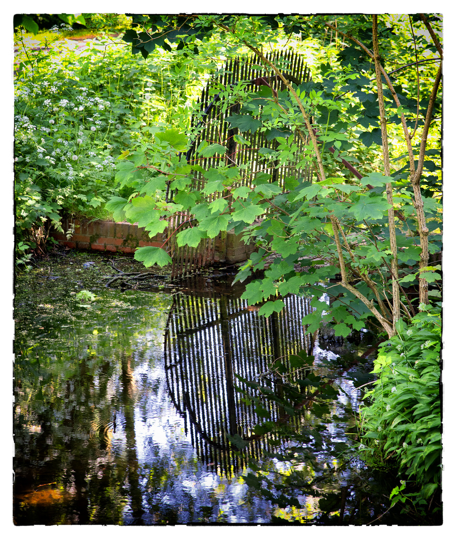 Parkfoto zum Spiegeldienstag