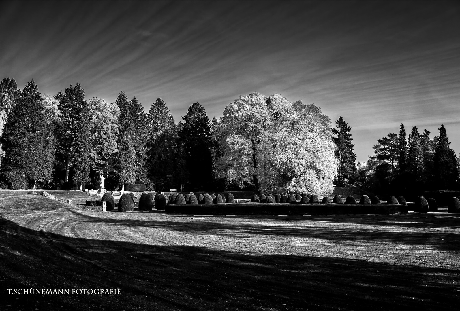 Parkfriedhof